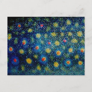 Brook Trout by PatternWear© Postcard