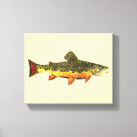 Brook Trout