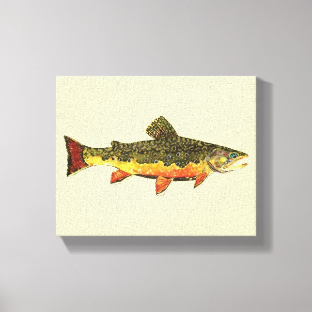 Brook Trout Canvas Print (Front)