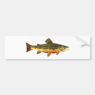 Brook Trout Fish Painting Bumper Sticker