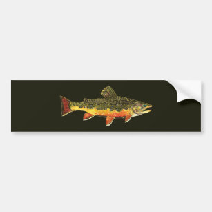 Brook Trout Fish Painting Bumper Sticker
