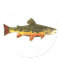 Brook Trout Fish Painting