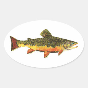 Brook Trout Fish Painting Oval Sticker