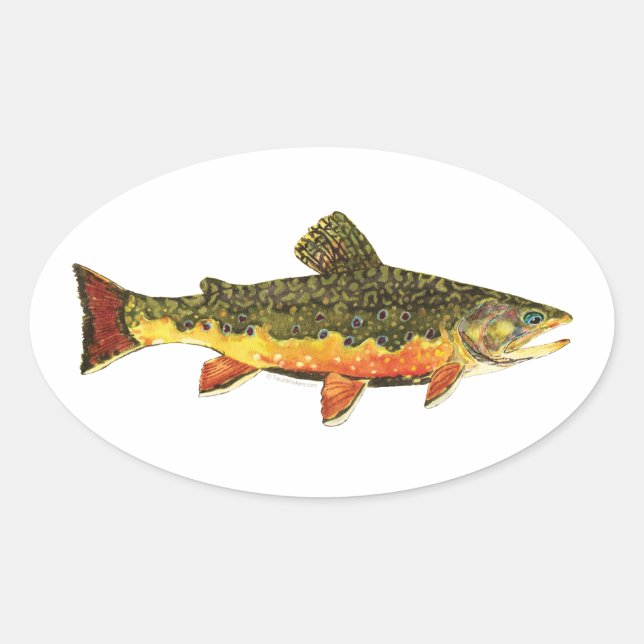 Brook Trout Fish Painting Oval Sticker (Front)