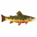 Brook Trout Fish Painting Photo Sculpture Key Ring<br><div class="desc">BROOK TROUT PAINTING. Just the fish, the whole fish, and nothing but the fish. This design features the wild eastern brook trout, salvelinus fontinalis fontinalis, in rich colours and beautiful patterning just as nature painted it. The art is from an original watercolor painting by Mr. Trout Whiskers. For those who love...</div>