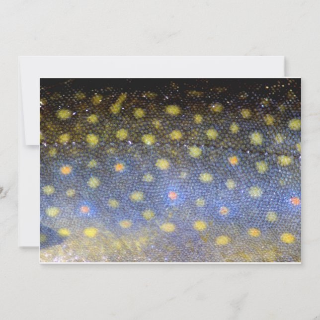 Brook Trout Fish Scales Party Invitation (Front)
