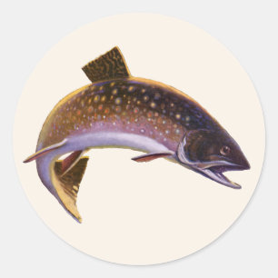 Brook Trout Fish, Vintage Sports Fishing Fisherman Classic Round Sticker