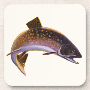 Brook Trout Fish, Vintage Sports Fishing Fisherman Coaster