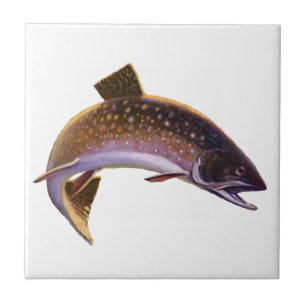 Brook Trout Fish, Vintage Sports Fishing Fisherman Tile