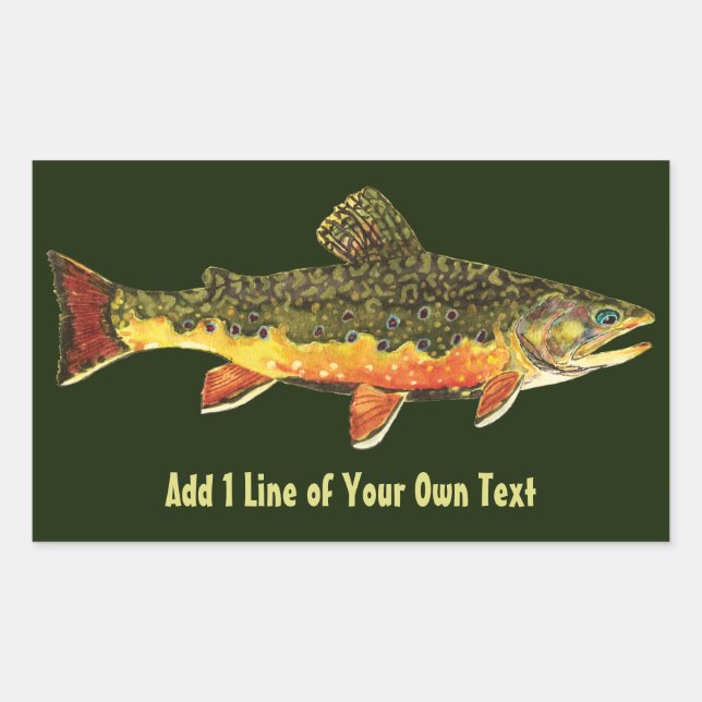 Brook Trout Fisherman's Rectangular Sticker (Front)