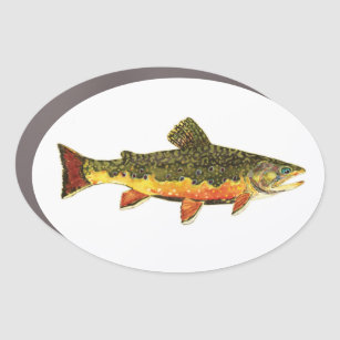 Brook Trout Fly Fishing Truck or Car Magnet
