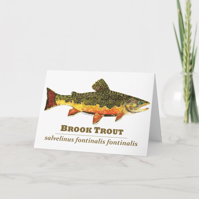 Brook Trout, Latin Holiday Card (Front)
