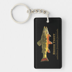 Brook Trout, Latin Key Ring