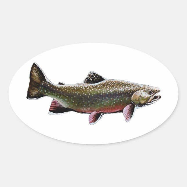 Brook Trout Logo (Swimming) Oval Sticker (Front)