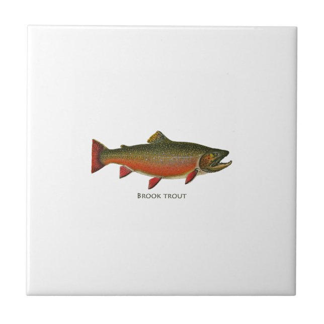 Brook Trout Male (Spawning Phase) Tile (Front)