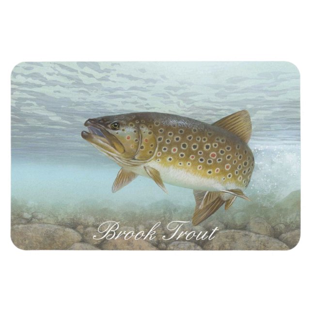 Brook Trout Painting Magnet (Horizontal)