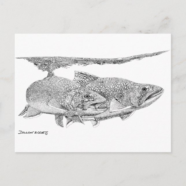 Brook Trout Postcard (Front)