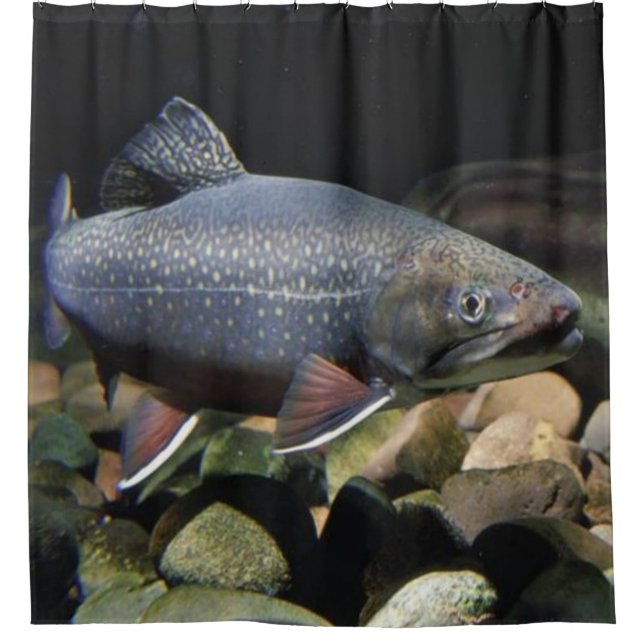 BROOK TROUT SHOWER CURTAIN (Front)