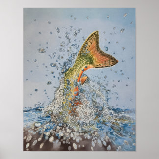 Brook Trout Splash Poster