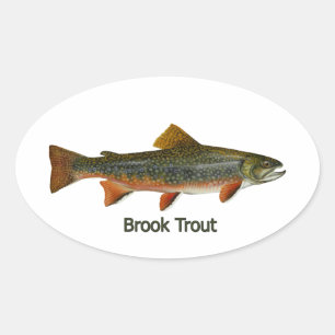 Brook Trout (titled) Oval Sticker