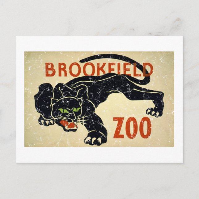 Brookfield Zoo-Panther-distressed Postcard (Front)