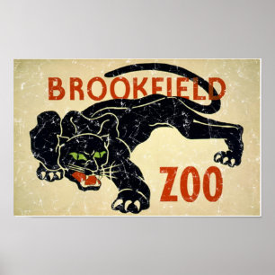 Brookfield Zoo-Panther-distressed Poster