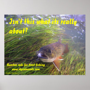 Brookie Poster