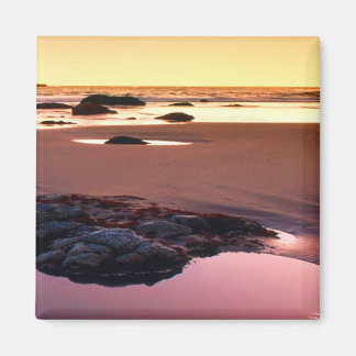 Brookings Harbour Sunset Fine Photo Magnet