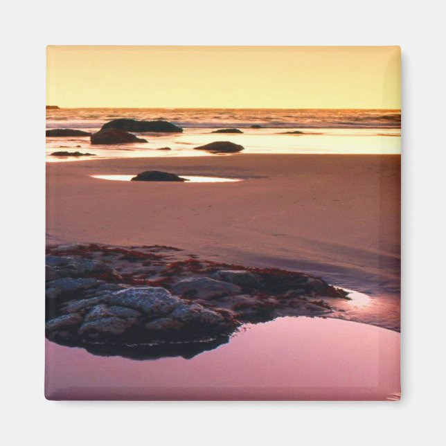 Brookings Harbour Sunset Fine Photo Magnet (Front)