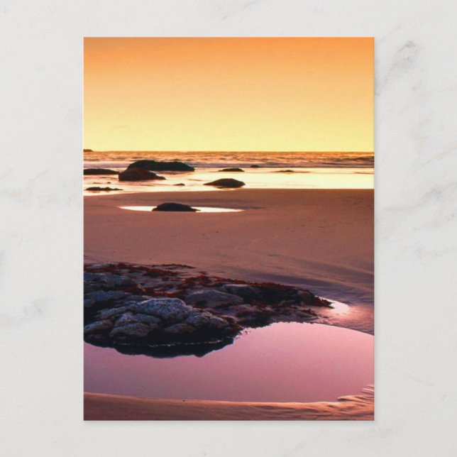 Brookings Harbour Sunset Fine Photo Postcard (Front)