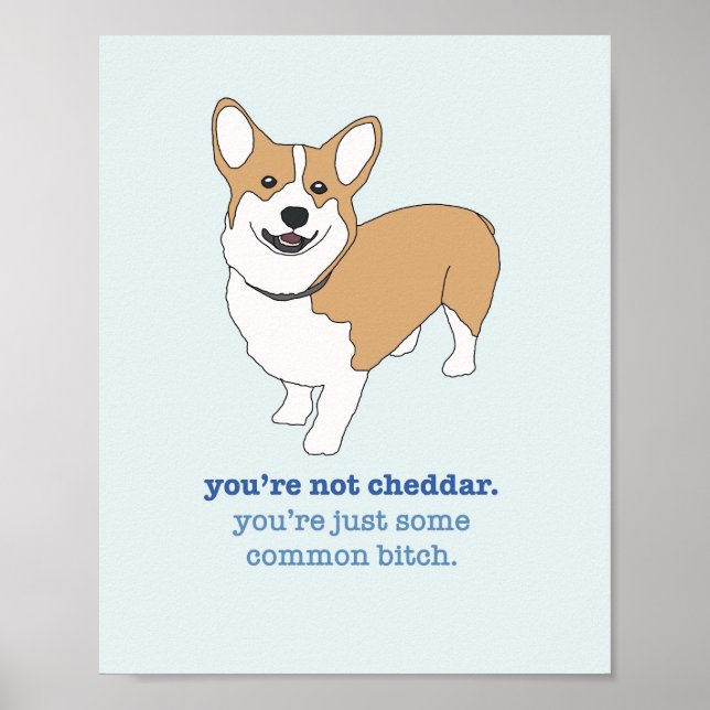 Brooklyn 99 Cheddar  Poster (Front)