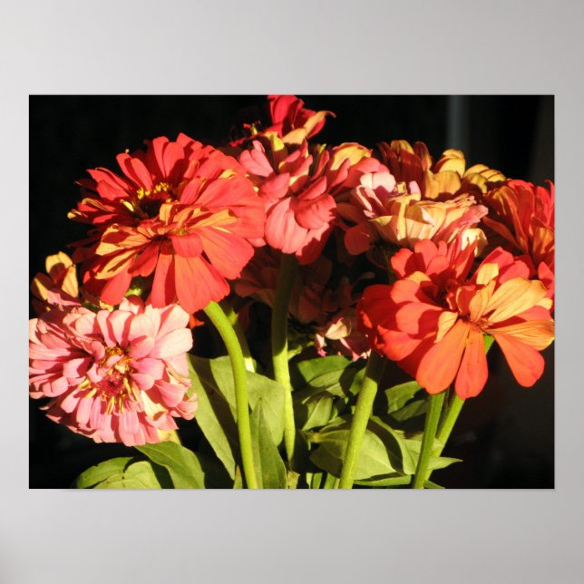 Brooklyn Bouquet Poster (Front)