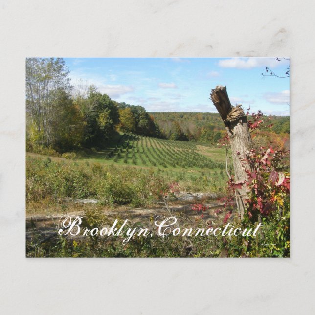 Brooklyn,Ct Postcard (Front)