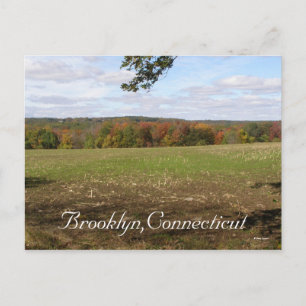 Brooklyn,Ct Postcard