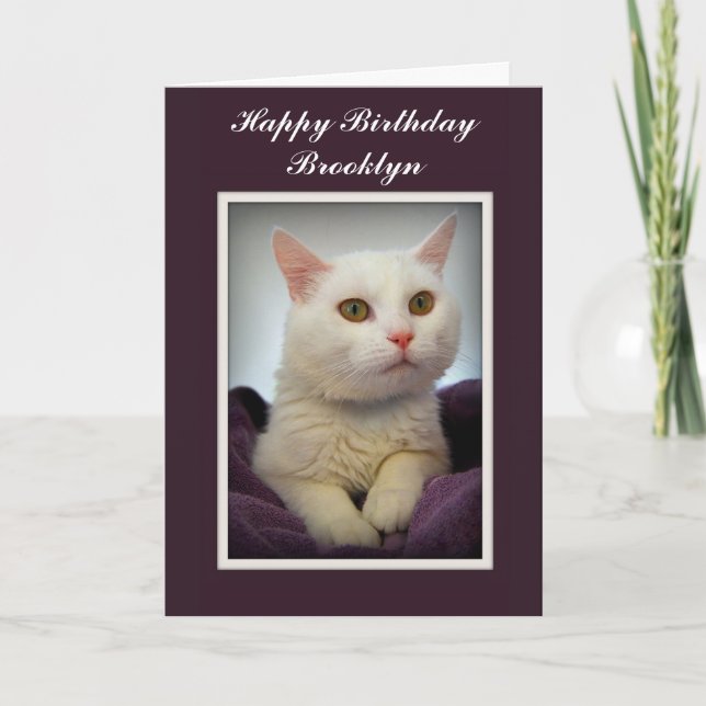 Brooklyn Happy Birthday White Cat Card (Front)
