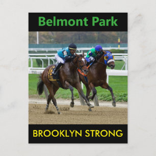 Brooklyn Strong - Eagle Orb Postcard