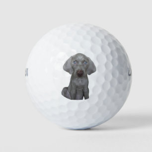 Brooklyn the Weinaraner Dog - Golf Balls
