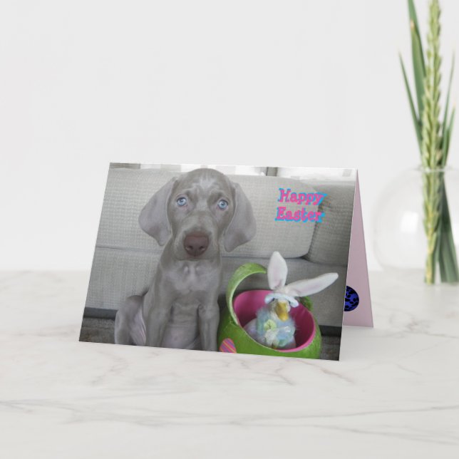 Brooklyn's Easter - Weimaraner Dog / Puppy Card (Front)
