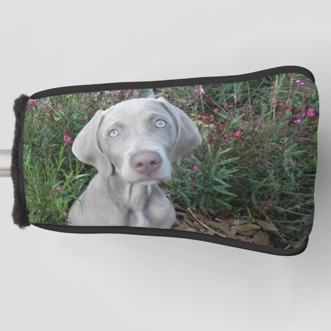 Brooklyn's Weimaraner Dog Golf Putter Head Cover (Front)