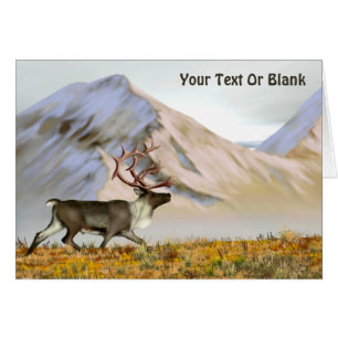 Brooks Range Caribou