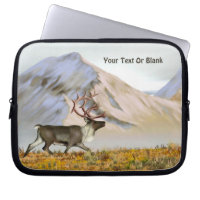 Brooks Range Caribou