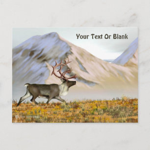 Brooks Range Caribou Postcard