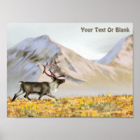 Brooks Range Caribou