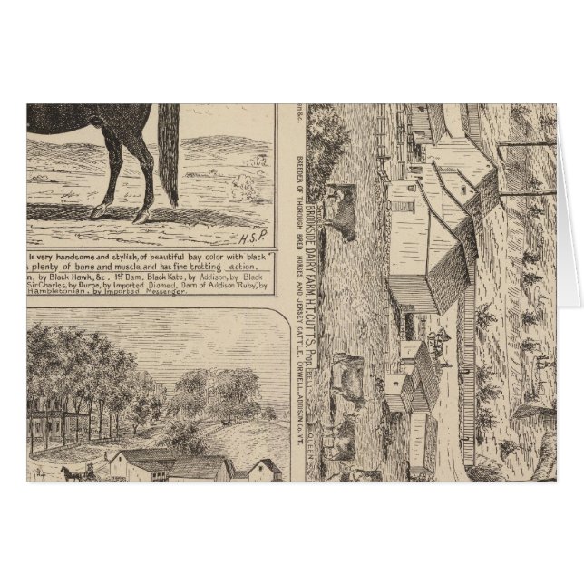 Brookside Dairy Farm (Front Horizontal)