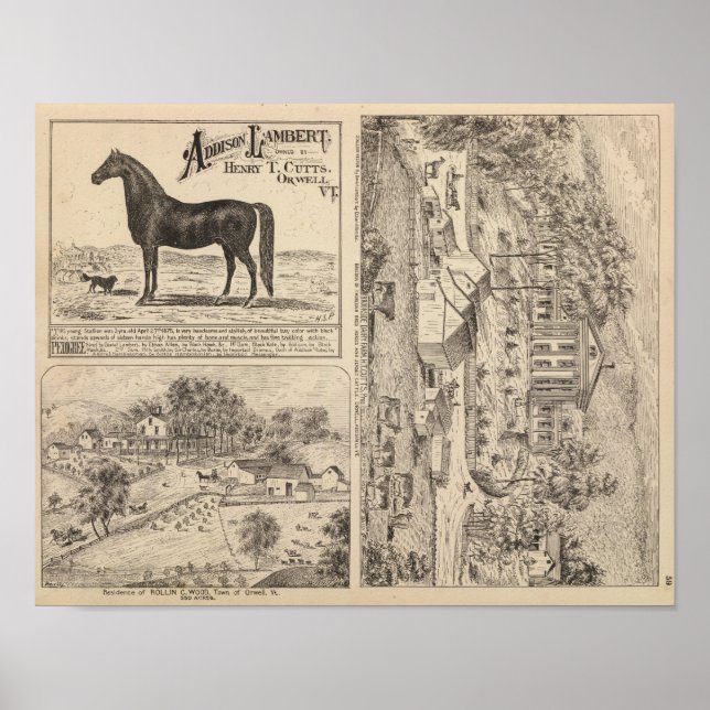 Brookside Dairy Farm Poster (Front)