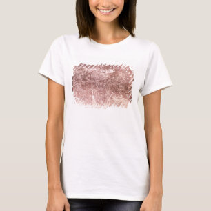 Broom and Spade, 1842 (b/w photo) T-Shirt
