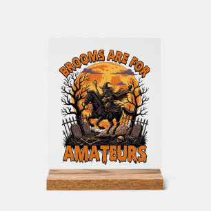 Brooms Are Amateurs Halloween Witch Horse Moon Gra Acrylic Sign