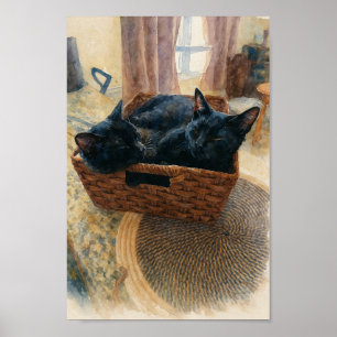 Brother and Sister Cat Love Poster