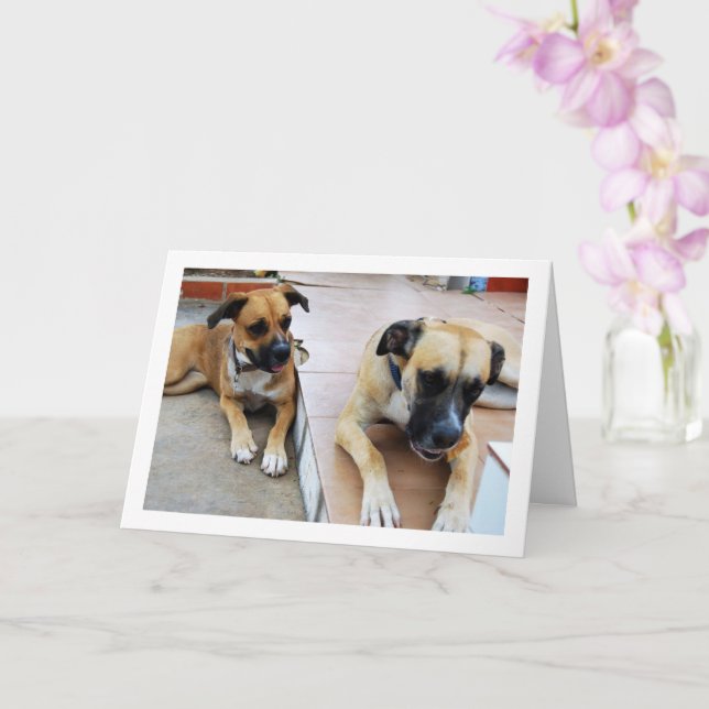 Brother and Sister, Dog Portrait Card (Orchid)
