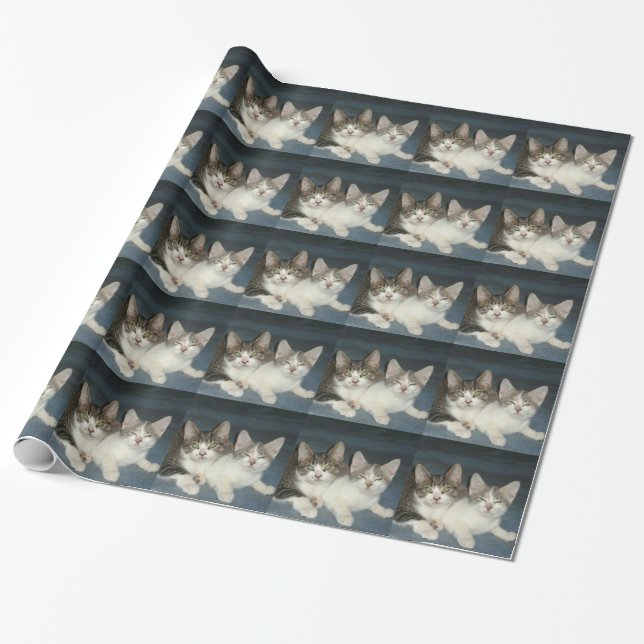 Brother and Sister Wrapping Paper (Unrolled)